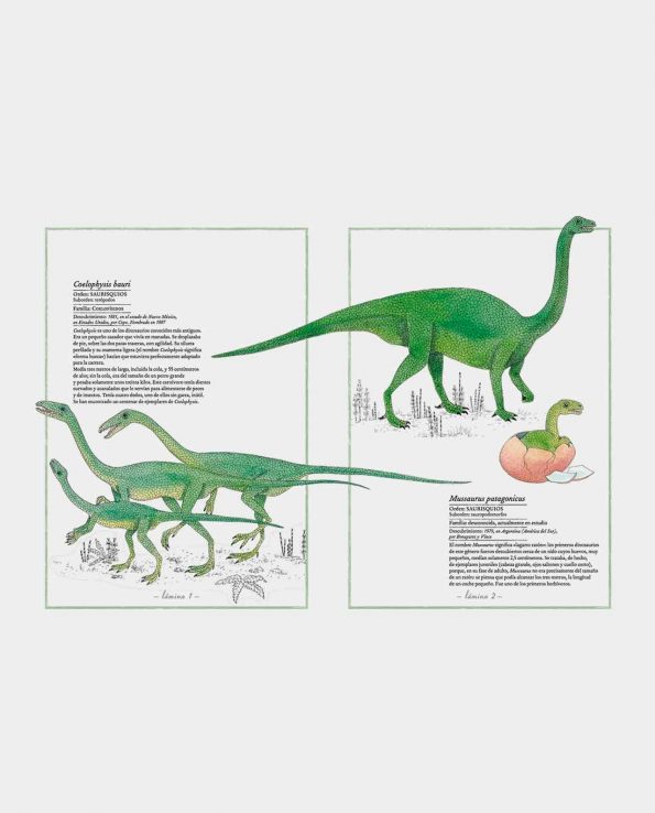 Libro ilustrado Inventario de dinosaurios