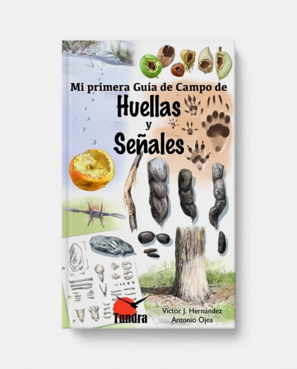 Libro ilustrado para niños para descubrir y reconocer las huellas y señales de animales en el bosque