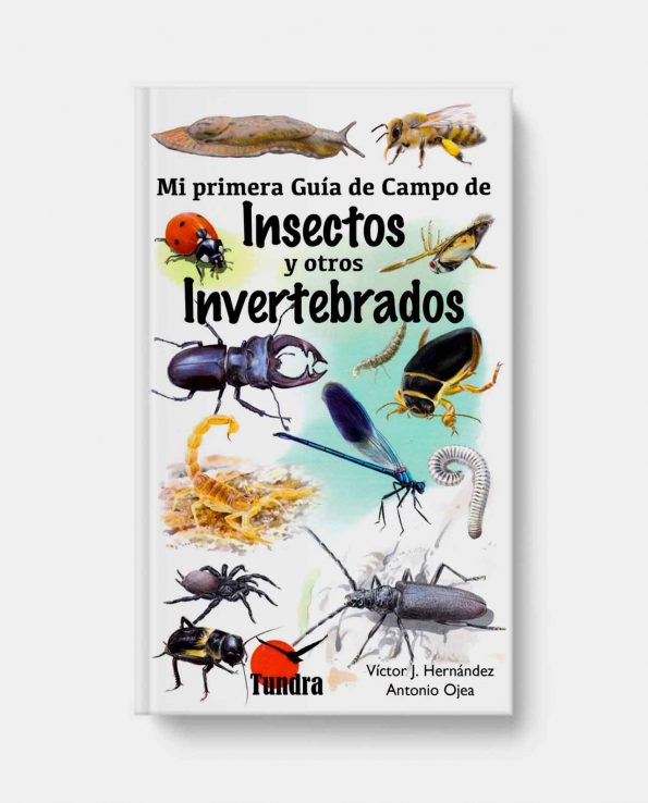 Libro ilustrado para niños para descubrir y reconocer las especies de insector y otros invertebrados