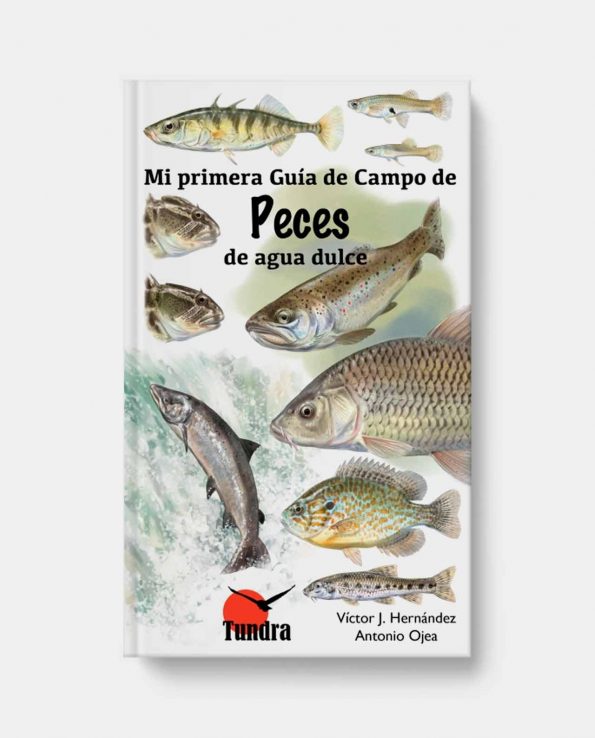 Libro ilustrado para niños para descubrir y reconocer las especies de peces de agua dulce