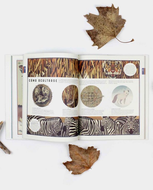 Libro infantil Mundo Natural con ilustraciones de animales y plantas