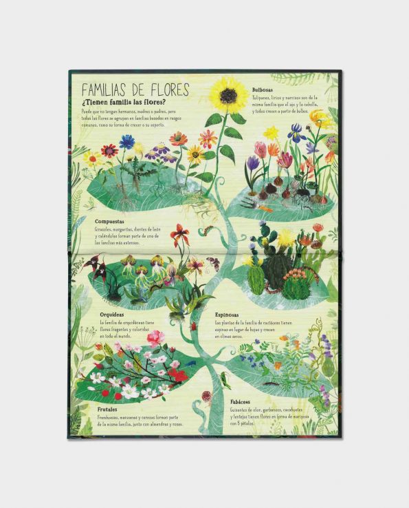 El Gran Libro de las Flores libro infantil ilustrado para aprender sobre plantas y flores