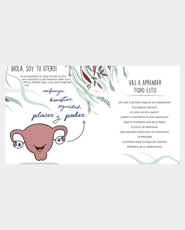 Libro La Regla Mola para niñas y niños ilustrado con informacion para que los niños aprendan que es la menstruación