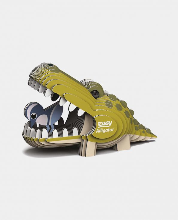 Eugy Alligator 043