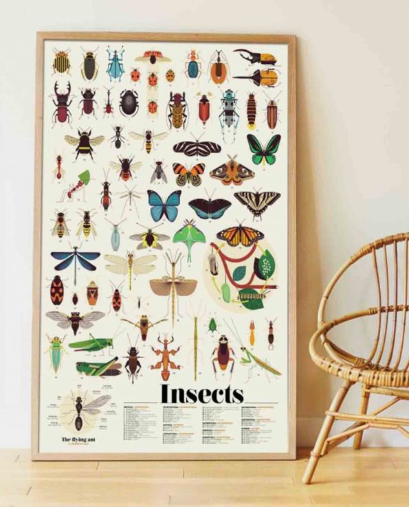 Gran Poster de Pegatinas Insectos - Poppik