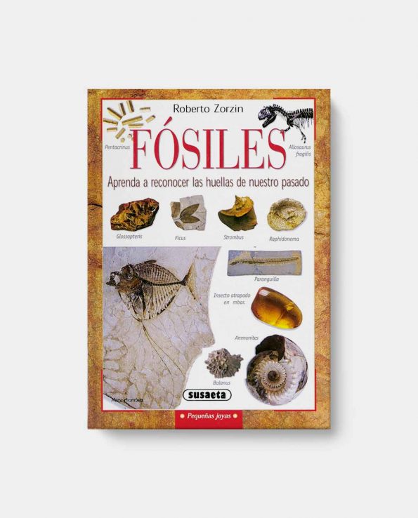 Libro Fósiles Aprende a reconocer las huellas de nuestro pasado