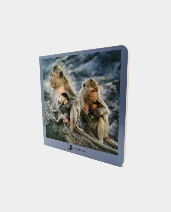 Libro Animales en Familia 2 Nowordbooks