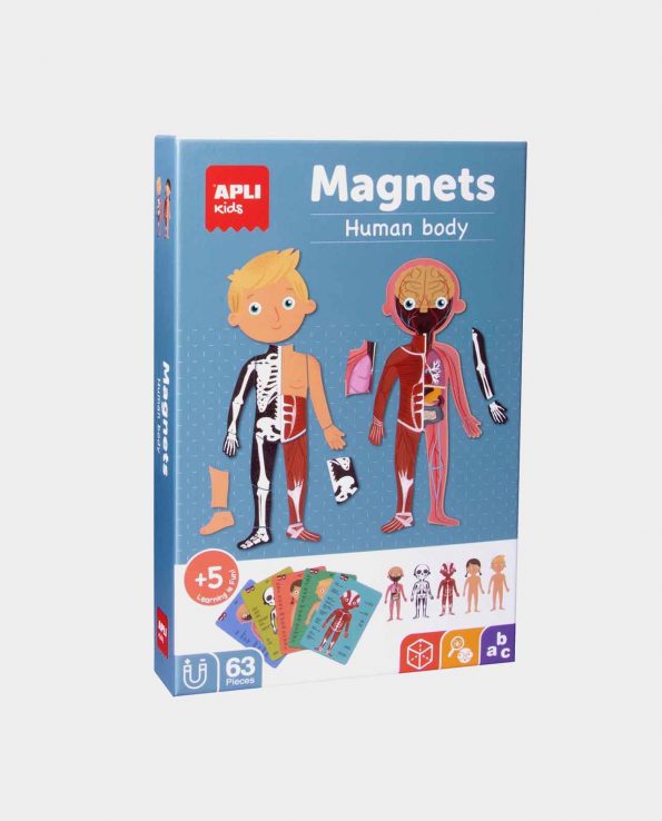 Magnets El Cuerpo Humano - Apli
