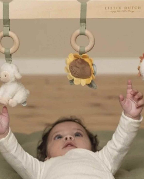 Baby Gym con juguetes Pequeña Granja Little Dutch